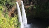 A fun way to see Kauai!