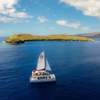 Glass Bottom Boat Tours
