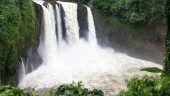 The tour guide Eddie was the best. He showed us places he enjoyed growing up on the island. He also knew to do the falls
