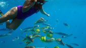 The highlight excursion of our Hawaii trip!