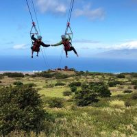 Holiday & Seasonal Tours
