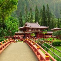 Cultural Tours