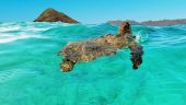 Great Experience at Kailua Beach Adventures