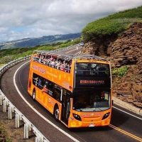 Tours & Sightseeing