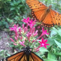 Walking & Biking Tours