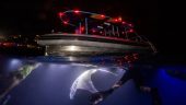 Amazing manta experience