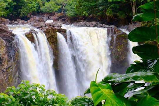 President's Day in Hilo