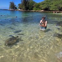 Full-day Tours