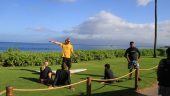 Surfing Lessons