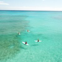Surfing & Windsurfing
