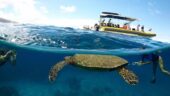 Excellent snorkel trip!