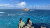 Waikiki island tour 