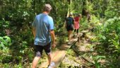 Hiking the Rainforest in Oahu