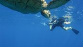 South Side zodiac snorkel tour