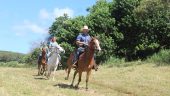 Best guided trail ride ever!