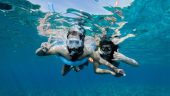 Great morning snorkel at Turtletown.
