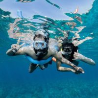 Kid Friendly Tours & Activities