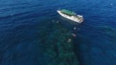 Best snorkel trip