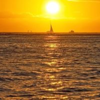 Cruises, Sailing & Water Tours