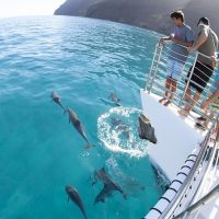 Cruises, Sailing & Water Tours