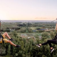 Ziplines