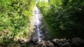 Great Hike to Manoa Falls Waterfall!