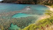 Wonderful snorkeling experience!