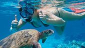 Snorkel and Swimming With Sea Turtles