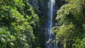 Heavenly's Road to Hana tour was amazing