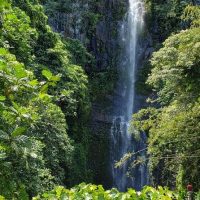 Full-day Tours