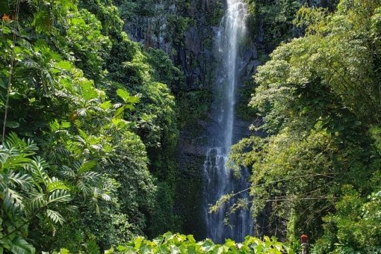 Labor Day in Molokai