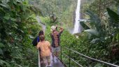 Waterfalls and botanical gardens north east island tour