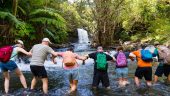 Waterfall experience