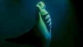 Sunset, Manta Ray Snorkel Trip