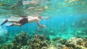 We had great snorkeling...