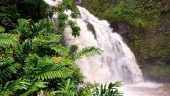 An Unforgettable Road to Hana Experience