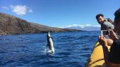 An unforgettable day on the ocean