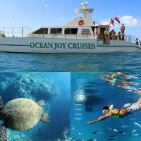 Day Cruises
