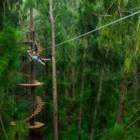 Ziplines