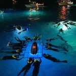 Ocean Tours