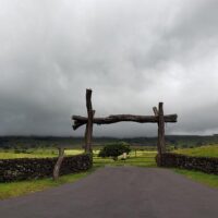 Day Trips & Excursions