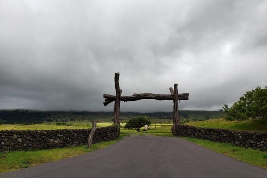 New Year’s Eve in Molokai