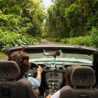 Cultural & Theme Tours