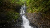 Perfect Hike for a taste of Oahu!