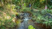 guided tour through an amazing garden