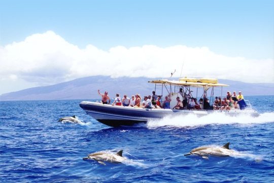 Maui's Best Lanai Snorkel and Dolphin Raft Adventure