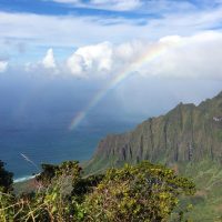 Shore Excursions