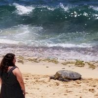 Coffee & Tea Tours