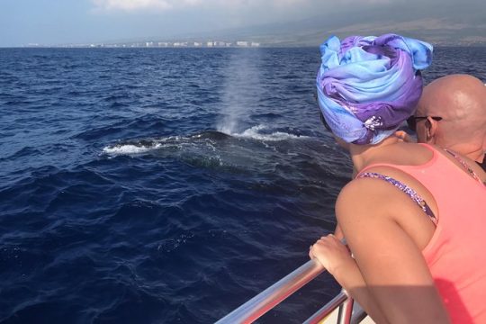 Small-Group Whale Watching Adventure