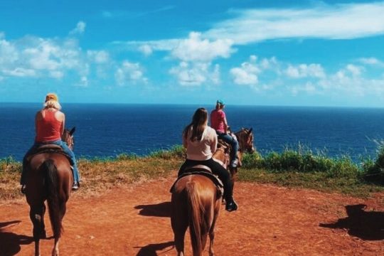 Maui Horseback-Riding Tour